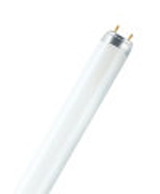 Tube fluorescent T8 G13 30W=2400 lumens blanc froid Lumilux OSRAM