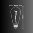 Ampoule Filament LED EDISON multicolore 4 W = 160 lumens XANLITE