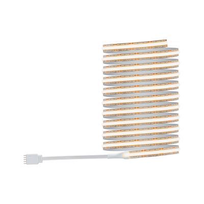 Ruban LED COB 3m prêt à l'emploi blanc dynamique 25W 24V MAXLED 1000 PAULMANN