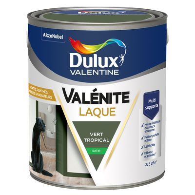 Peinture Boiseries Laque Acrylique Valénite Vert Tropical Satin 2 L - DULUX VALENTINE