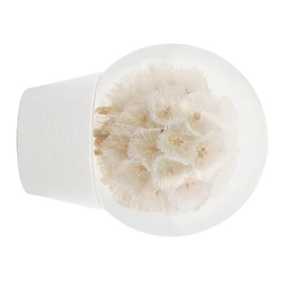 Embout fleur sèche vissé diam 28 mm Finition Blanc - MOBOIS