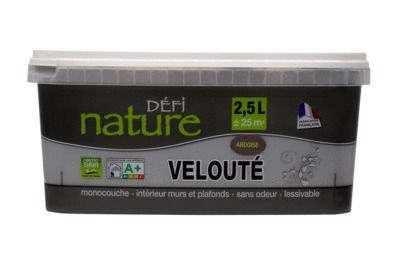 Peinture naturelle murale Ardoise velours 2,5 l - DEFI NATURE