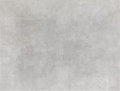 Faïence Loft gris clair 25 x 40 cm paquet 1 m² ELYSSA TRADING