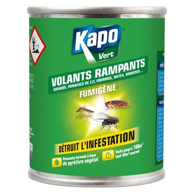 Fumigène tout insecte 50 g KAPO Vert