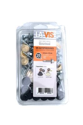 Vis autoforantes 4.9 mm x 35 mm anthracite/beige kit de 25 pièces BACACIER HOMESTEEL