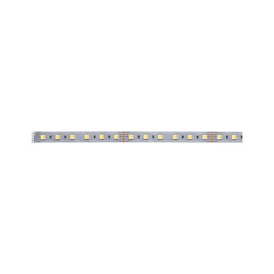 Ruban LED 1m blanc dynamique 7W 24V Extension MAXLED 500 PAULMANN