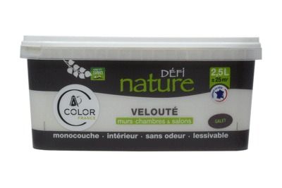 Peinture naturelle murale Galet velours 2,5 l - DEFI NATURE