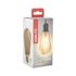 Ampoule LED EDISON E27 ambrée 1521 lumens Blanc chaud XANLITE