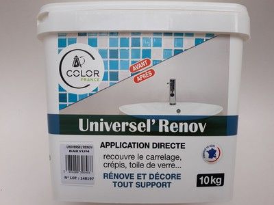 UNIVERSEL RENOV Bleu Gris BARYUM 10kg COLOR FRANCE