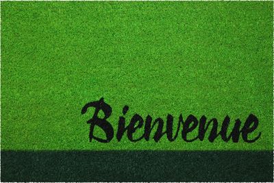 Paillasson coco blanchi décor bienvenue vert 40 x 60 cm ID MAT