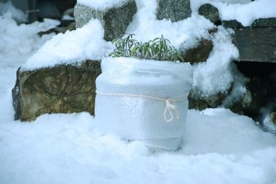 Film à bulles d'hivernage  1 X 5 m WINDHAGER