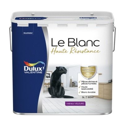 Peinture acrylique Haute Resistance Blanc velours 5 l - DULUX VALENTINE