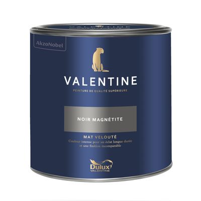 Peinture Valentine Mat Velouté Noir Magnétite 2 L - DULUX VALENTINE