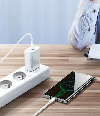 Câble de charge rapide de type USB C vers USB C longueur 1 m - GAO