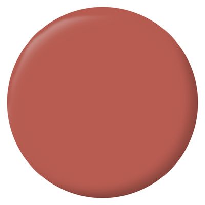 Peinture Intérieure Couleur - Satin - 0,5L - Rouge Chianti - RIPOLIN