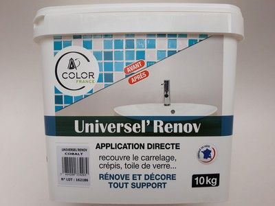 UNIVERSEL RENOV Bleu Foncé COBALT 10kg COLOR FRANCE