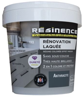 Résine de Rénovation Laquée anthracite 250 ml RESINENCE