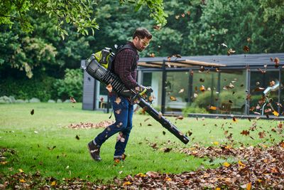 Souffleur de feuilles à dos 36V ss batterie RYOBI