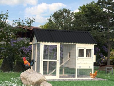 Poulaillier  Bois Naturel  Chick 6,7m2 PALMAKO Livraison incluse domicile