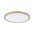 Plafonnier LED rond 293mm 3000K 16W IP44  ATRIA SHINE PAULMANN