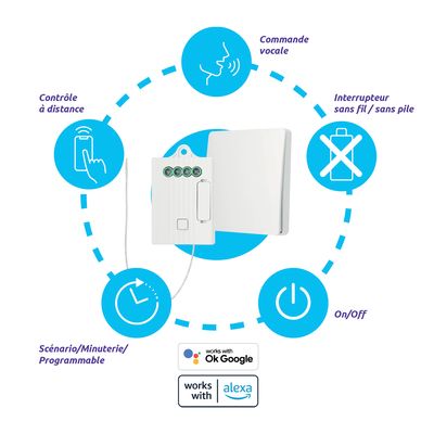 Interrupteur RF + module éclairage WIFI 5A SEDEA