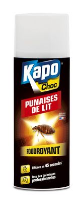 Aérosol choc punaise de lit 400 ml KAPO