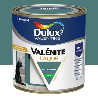 Peinture Boiseries Laque Acrylique Valénite Eucalyptus Satin 0,5 L - DULUX VALENTINE