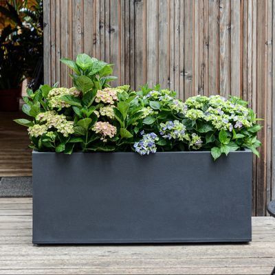 Jardinière Basalt L99,5 x l39 x H43 cm décor béton EDA