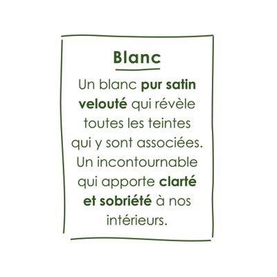 Peinture O'PUR Blanc 75 ml - RIPOLIN