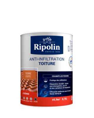 Anti-infiltration pour toiture terre cuite 750 ml by DIP ETANCH - RIPOLIN