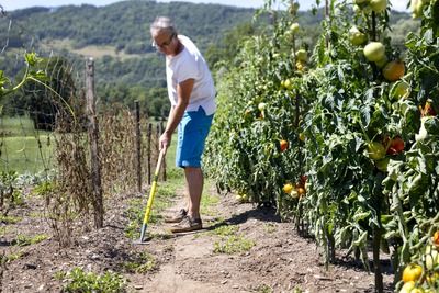 Ratissoire de jardin naturOver LEBORGNE