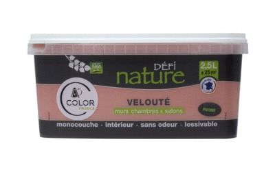 Peinture naturelle murale Pivoine velours 2,5 l - DEFI NATURE