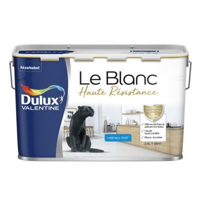 Peinture Murs & Plafonds MOSAÏK Acryl Blanc mat pas cher