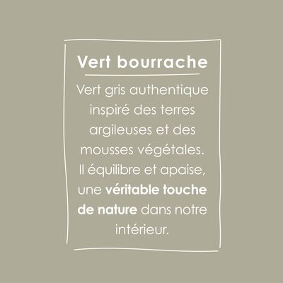 Peinture O'PUR mur & boiserie Vert Bourrache satin 500 ml - RIPOLIN