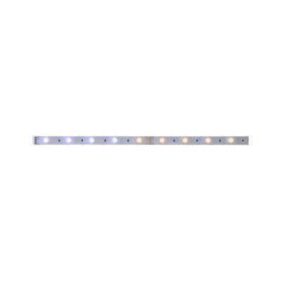 Ruban LED 1m blanc dynamique 3,5W 24V Extension MAXLED 250 PAULMANN