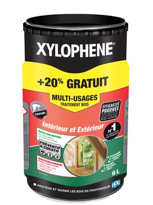 XYLOPHENE Traitement multi-usages SP 6L