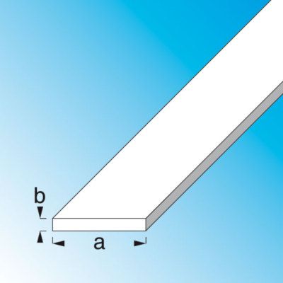 Profilé plat 30 x 2 mm acier étiré 1 m ALFER