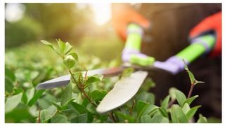 Nomenclature Outillage à main du jardinier