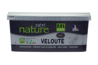 Peinture naturelle murale Silex velours 2,5 l - DEFI NATURE