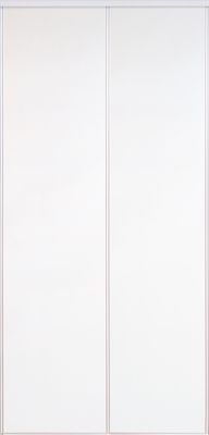 Portes de placard coulissantes blanches 2 vantaux H 2,50 m x L 1,80 m OPTIMUM