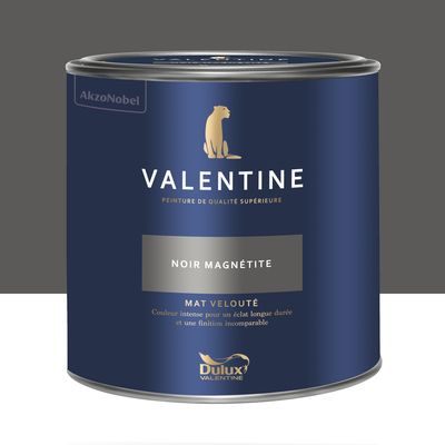 Peinture Valentine Mat Velouté Noir Magnétite 2 L - DULUX VALENTINE