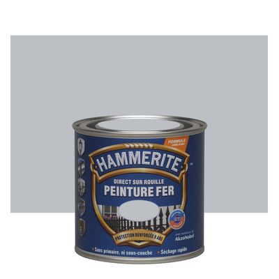 Peinture fer extérieure lisse brillant argent 250 ml - HAMMERITE