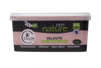 Peinture naturelle murale Pétale velours 2,5 l - DEFI NATURE