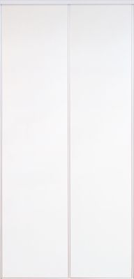 Portes de placard coulissantes blanc 2 vantaux H 2,50 m x L 1,20 m OPTIMUM