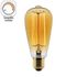 Ampoule Edison filament carbone variable E27 25 W = 220 lumens blanc chaud ELEXITY