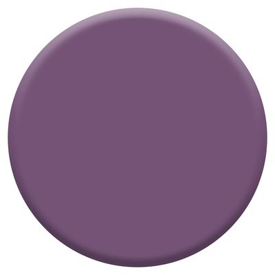 Testeur couleur Prune 30 ml - DULUX