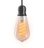 Ampoule Filament LED ST64 Edison 4 W = 300 Lumens XANLITE