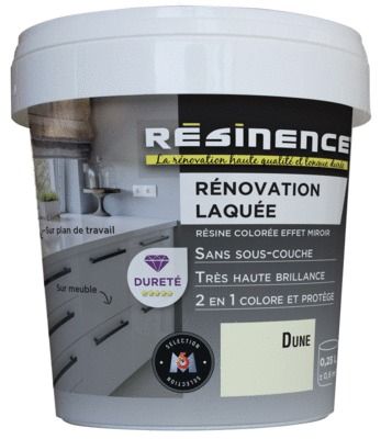 Résine de Rénovation Laquée dune 250 ml RESINENCE