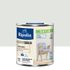 Peinture Intérieure Couleur - Satin - 0,5L - Gris Hanoi - RIPOLIN