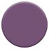 Testeur couleur Prune 30 ml - DULUX